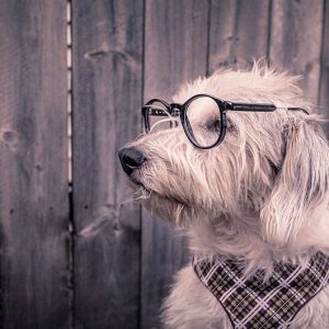 12 Best Free Image Sources for Your Blog