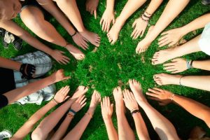 Building an Online Community