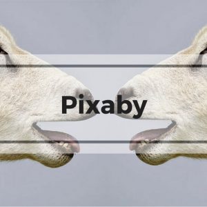 Pixaby