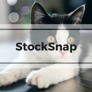 StockSnap