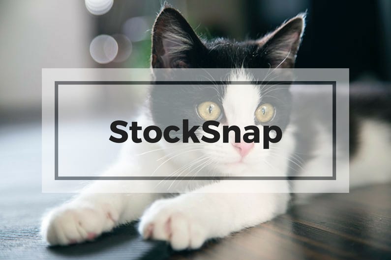 StockSnap