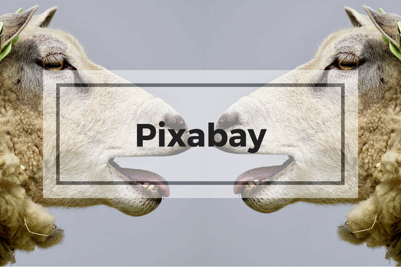 Pixabay